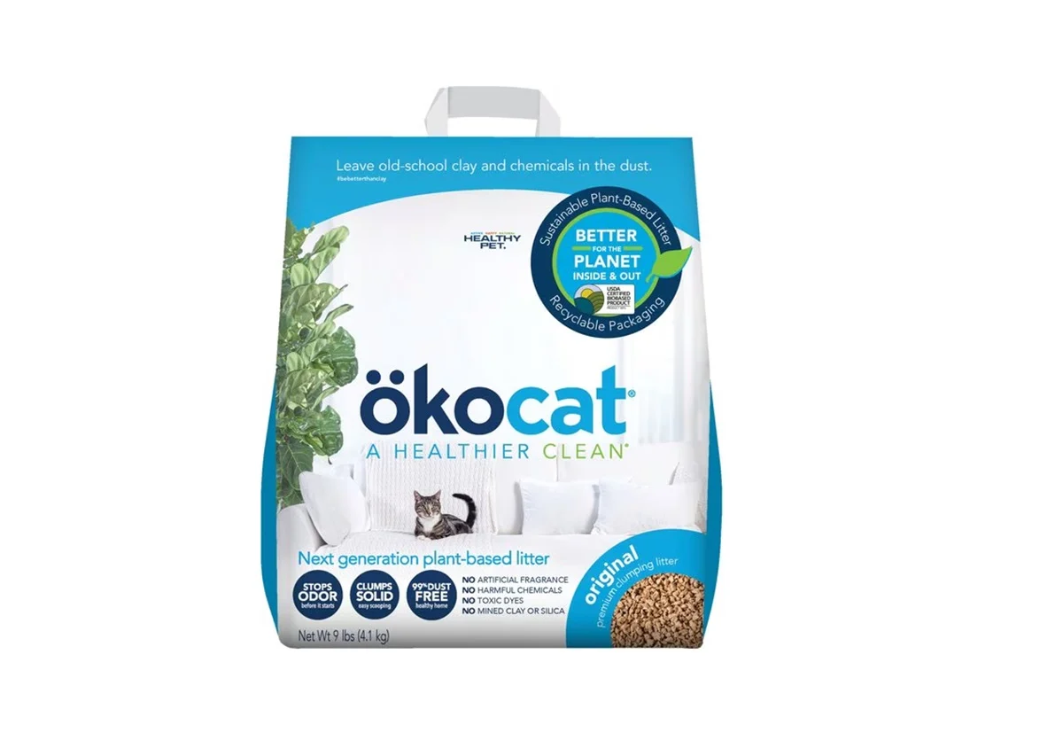 Okocat | Katie's Maine Coon Cattery