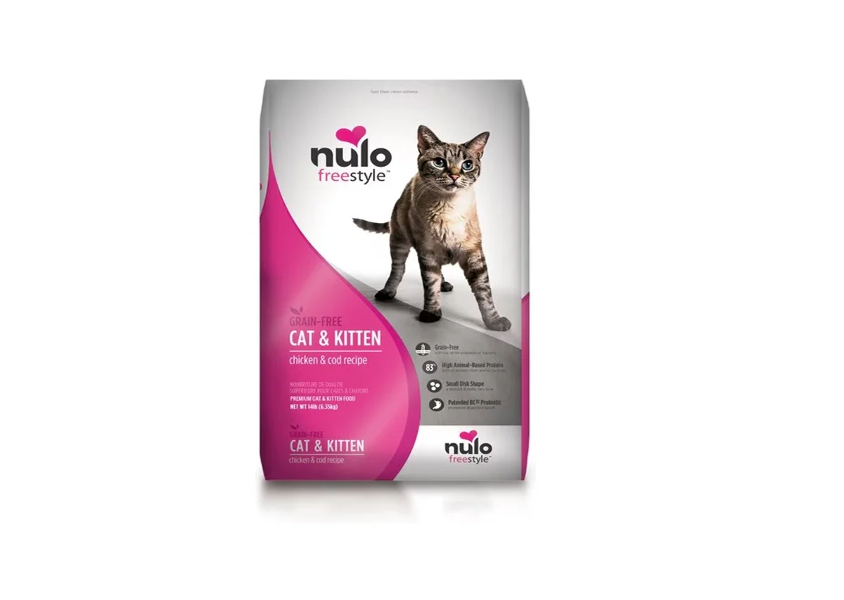Nulo | Katie's Maine Coon Cattery